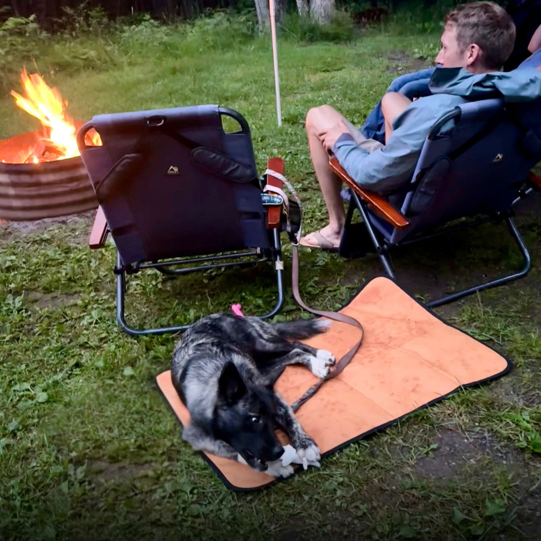 Eco friendly dog mat