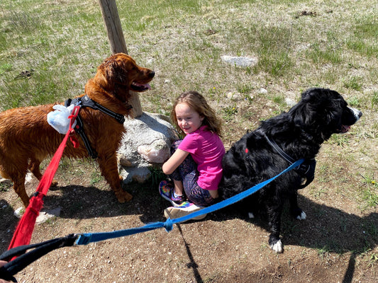 Find dog-friendly trails in national parks
