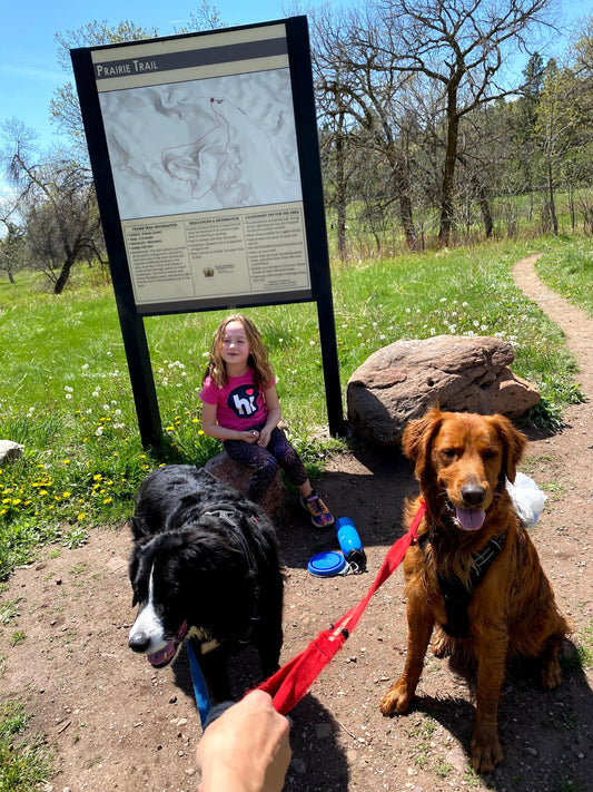 Happy dogs on a scenic national park trail with map in the background