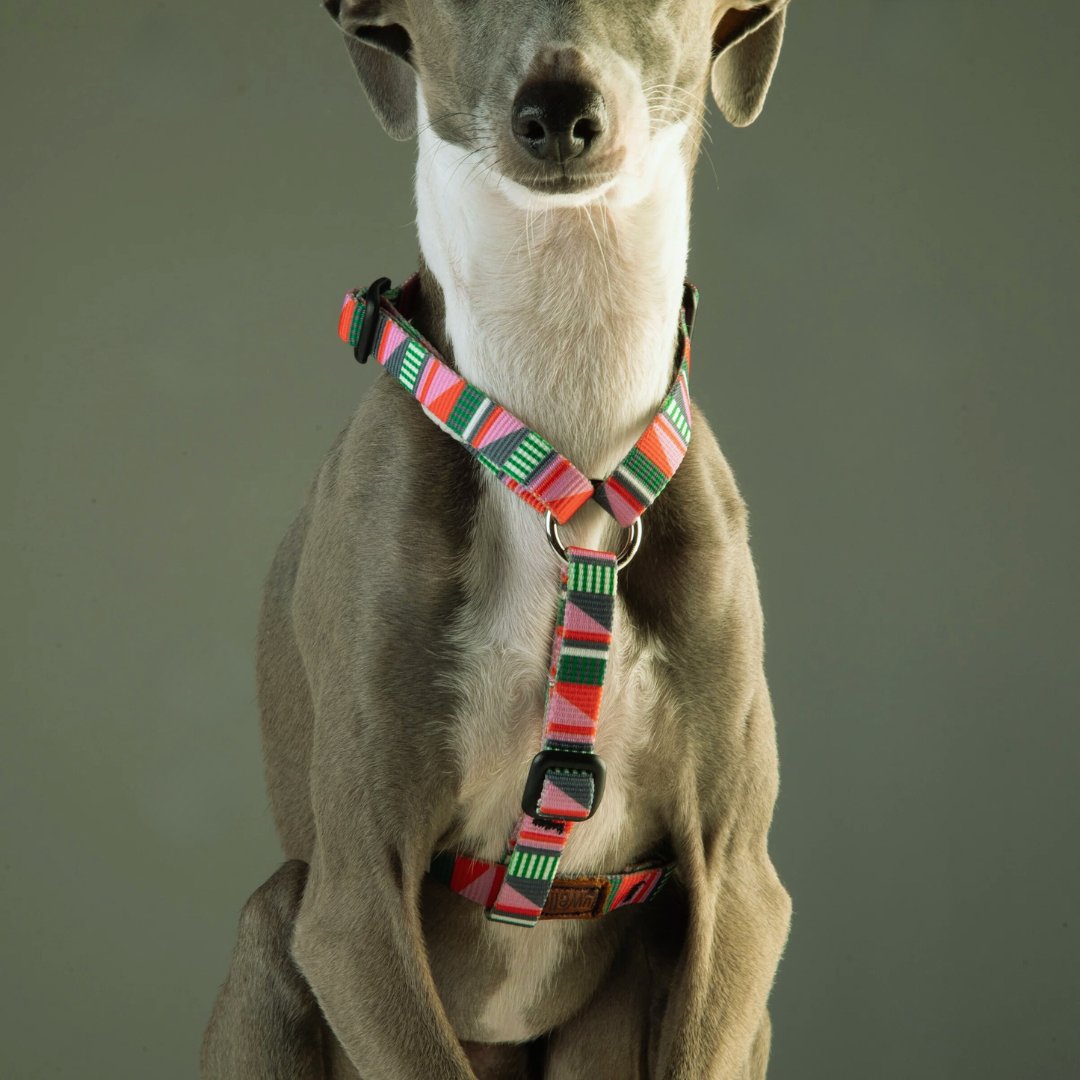 Luwello Dog Harness