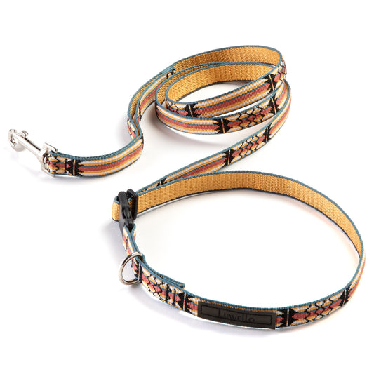 Hands Free Leash Aztec