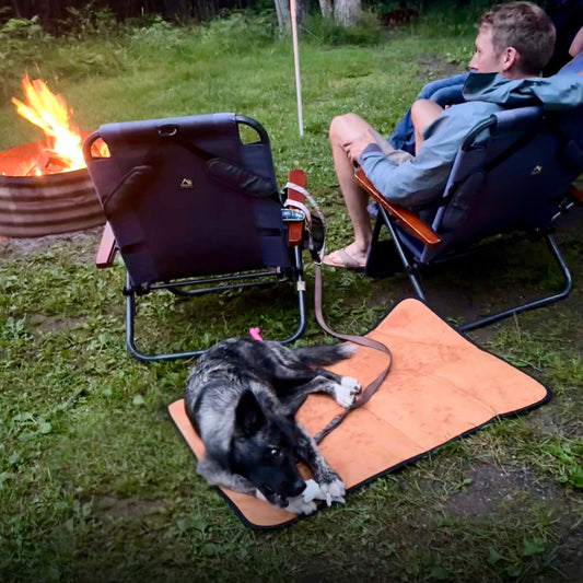 Eco friendly dog mat