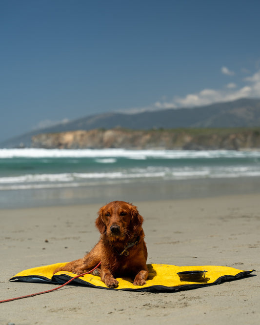 Luwello Settle Mat in Golden Dazy with dog resting on it outdoors