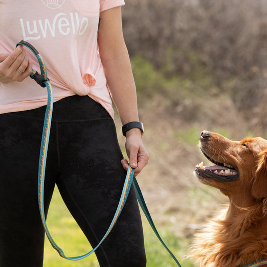 Tether leash with dog