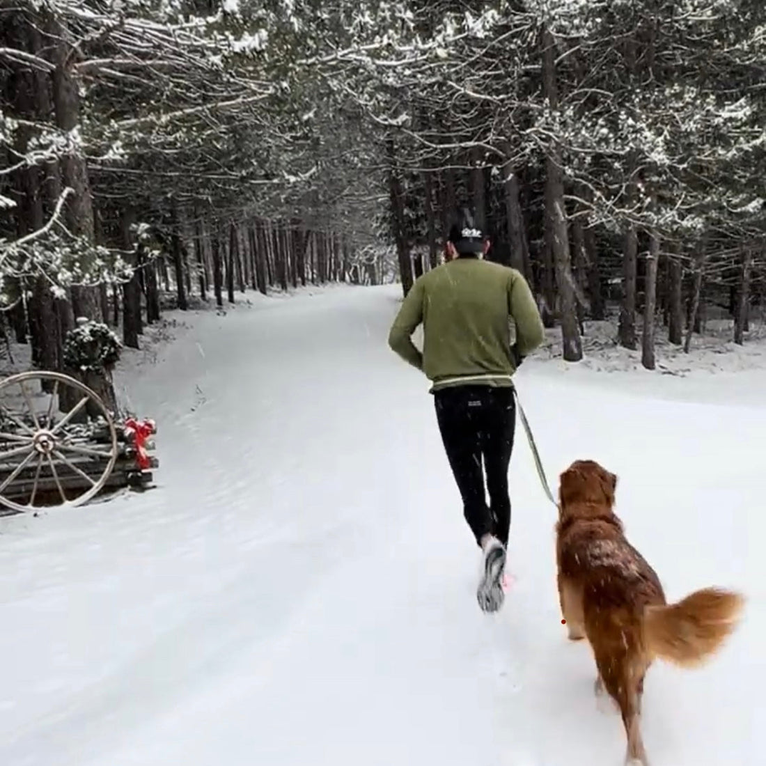 Winter Running with Your Dog