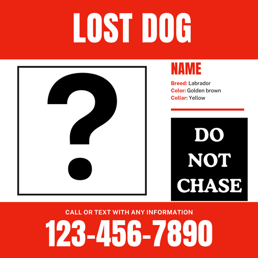 LOST DOG TEMPLATE