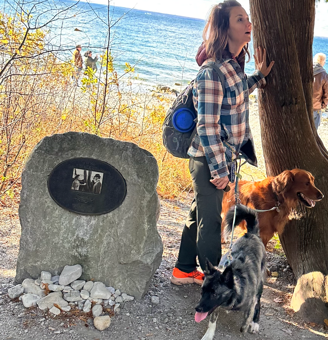 Mackinac Island Dog Friendly