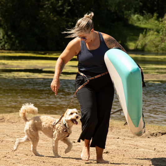 Paddleboard with your dog and Hands Free Leash and Harness Luwello