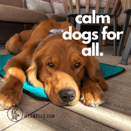 Dog resting on Luwello Settle Mat made with REPREVE® rPET recycled sailcloth