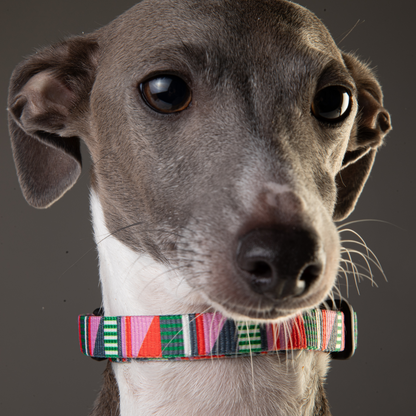 Luwello 1/2 inch dog collar