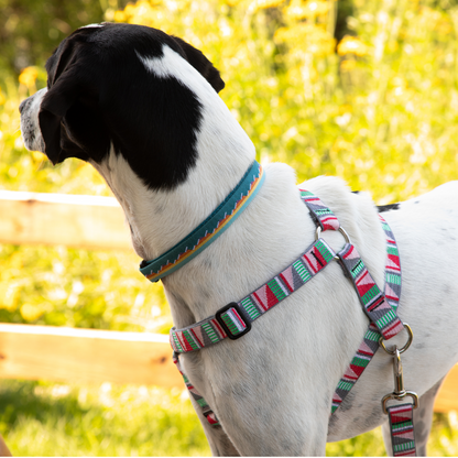 Escape Free Dog Harness