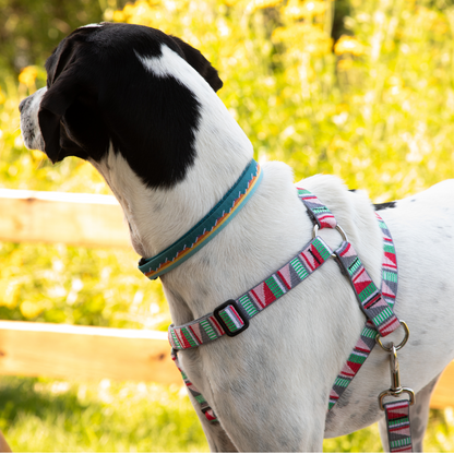 Medium Dog Harness Luwello