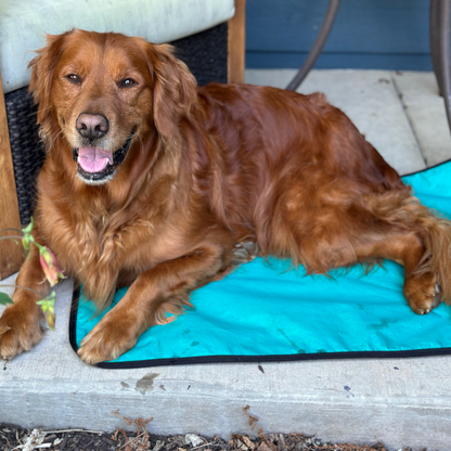 Outdoor Dog Mat
