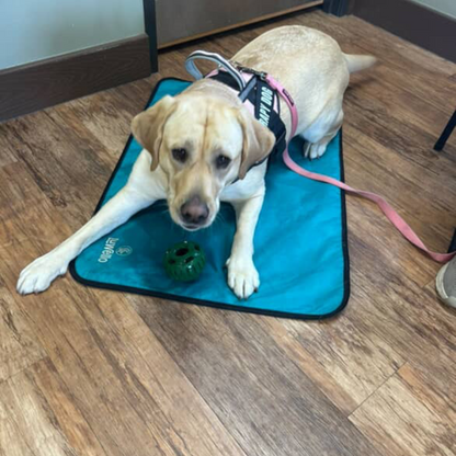 Dog Training Mat