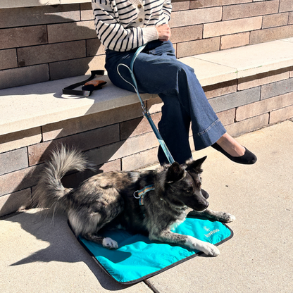 Portable Dog Settle Mat