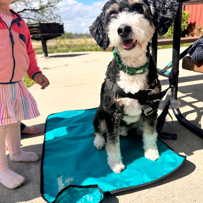 Place training dog mat for parks and cafes