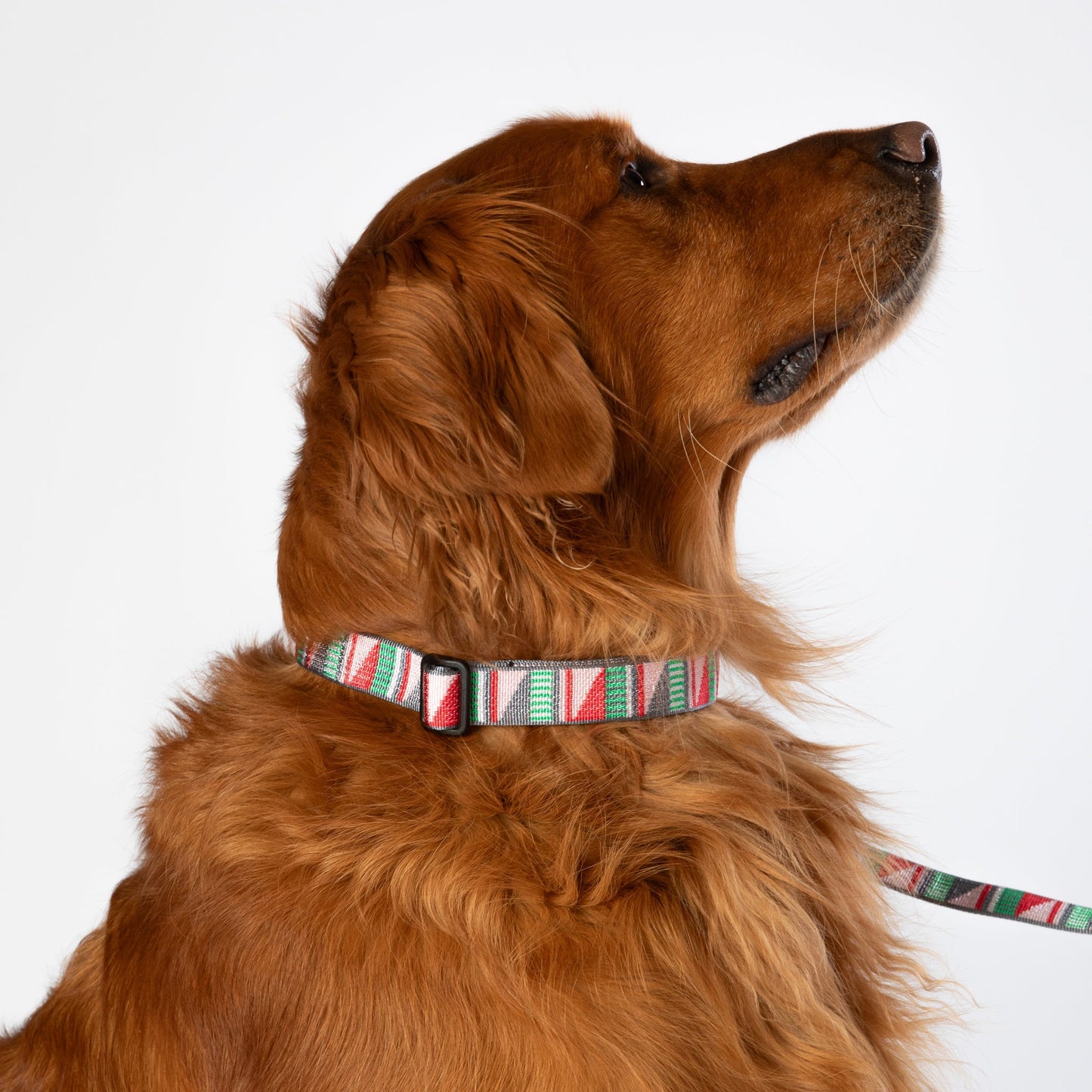 Geometric Dog Collar Luwello