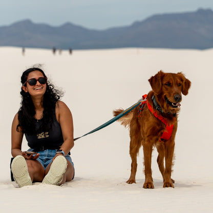 Waist leash for hiking and travel