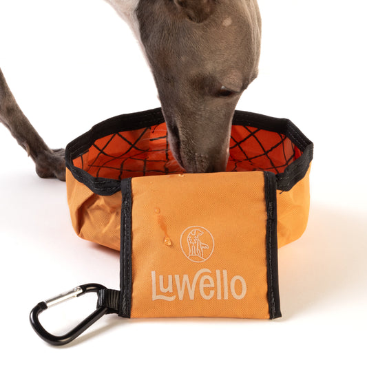 collapsible dog bowl with carabiner