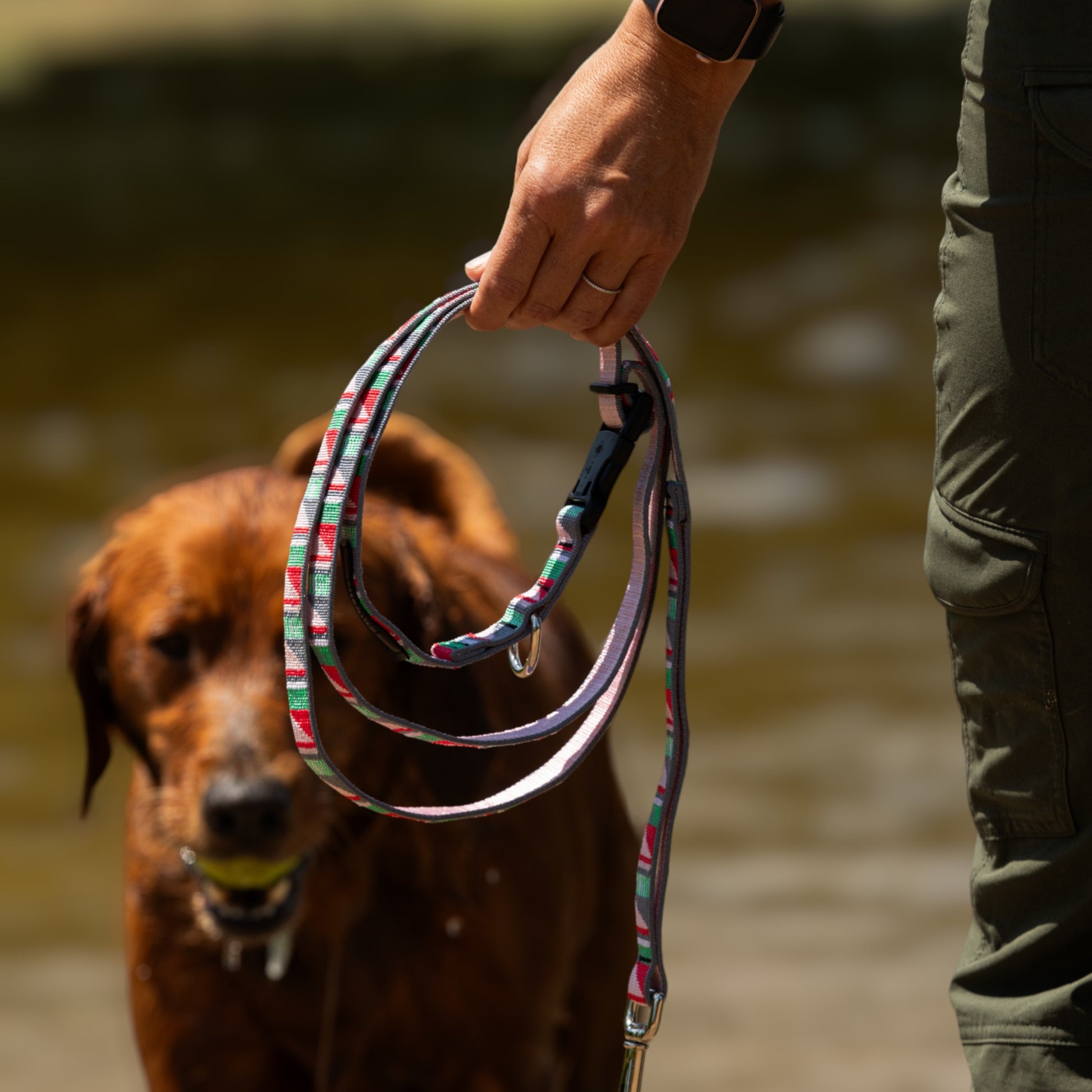 #running_leash# - #luwello#