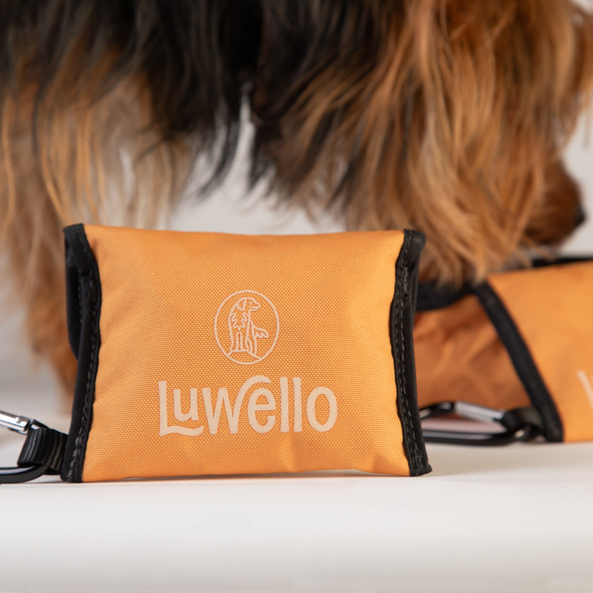 collapsible dog bowl with carabiner