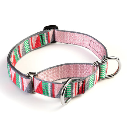 Dog Training Martingale Collar