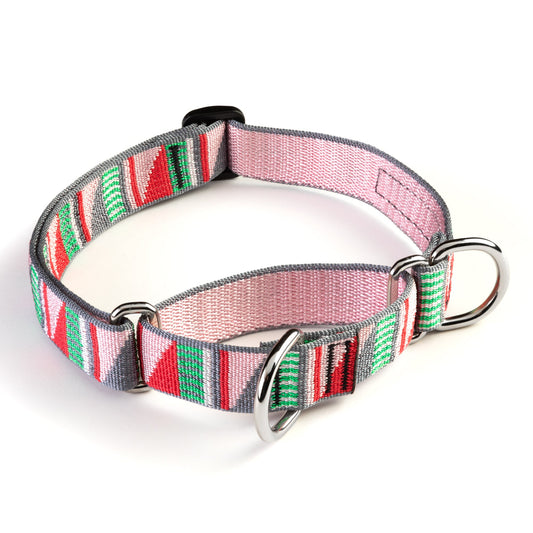 Dog Training Martingale Collar