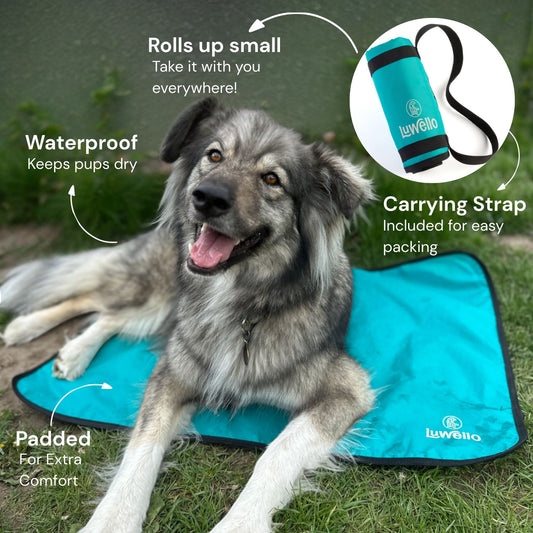 Settle Mat Benefits