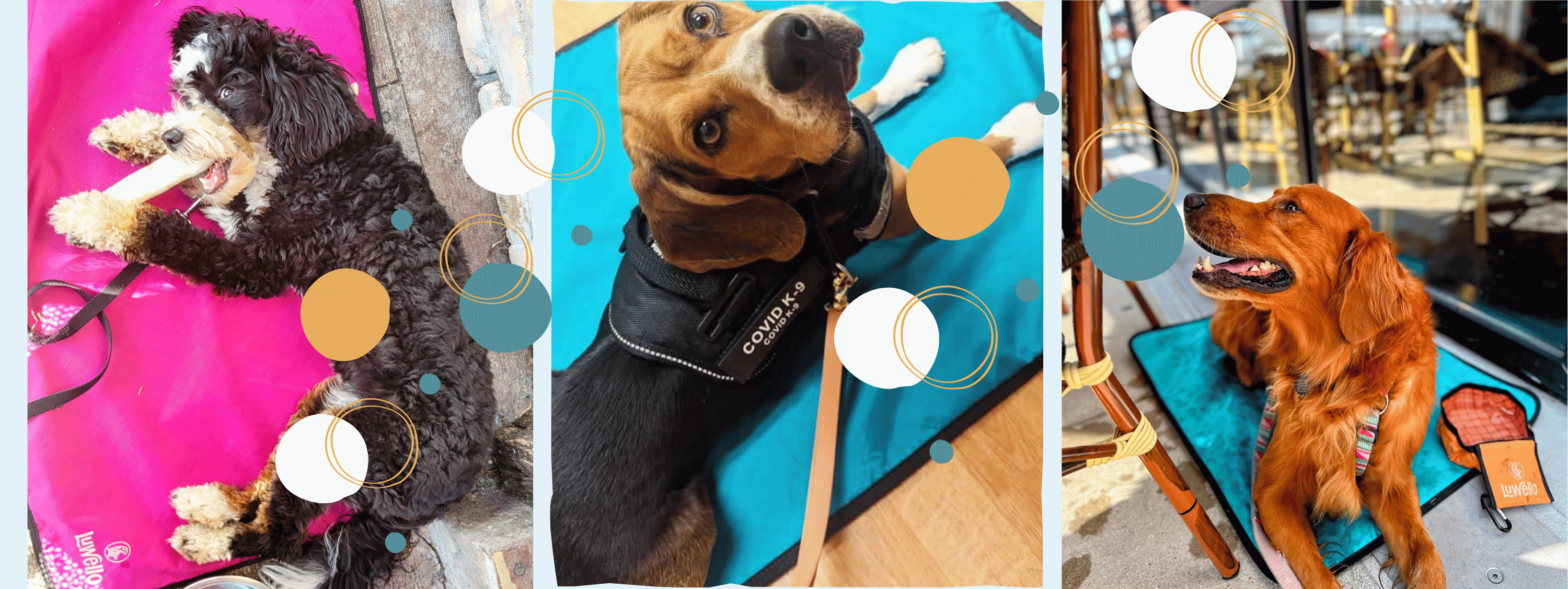 calm daily. The last settle mat you’ll ever buy. Shop the portable settle mat.