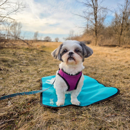 Calm dog hiking mat