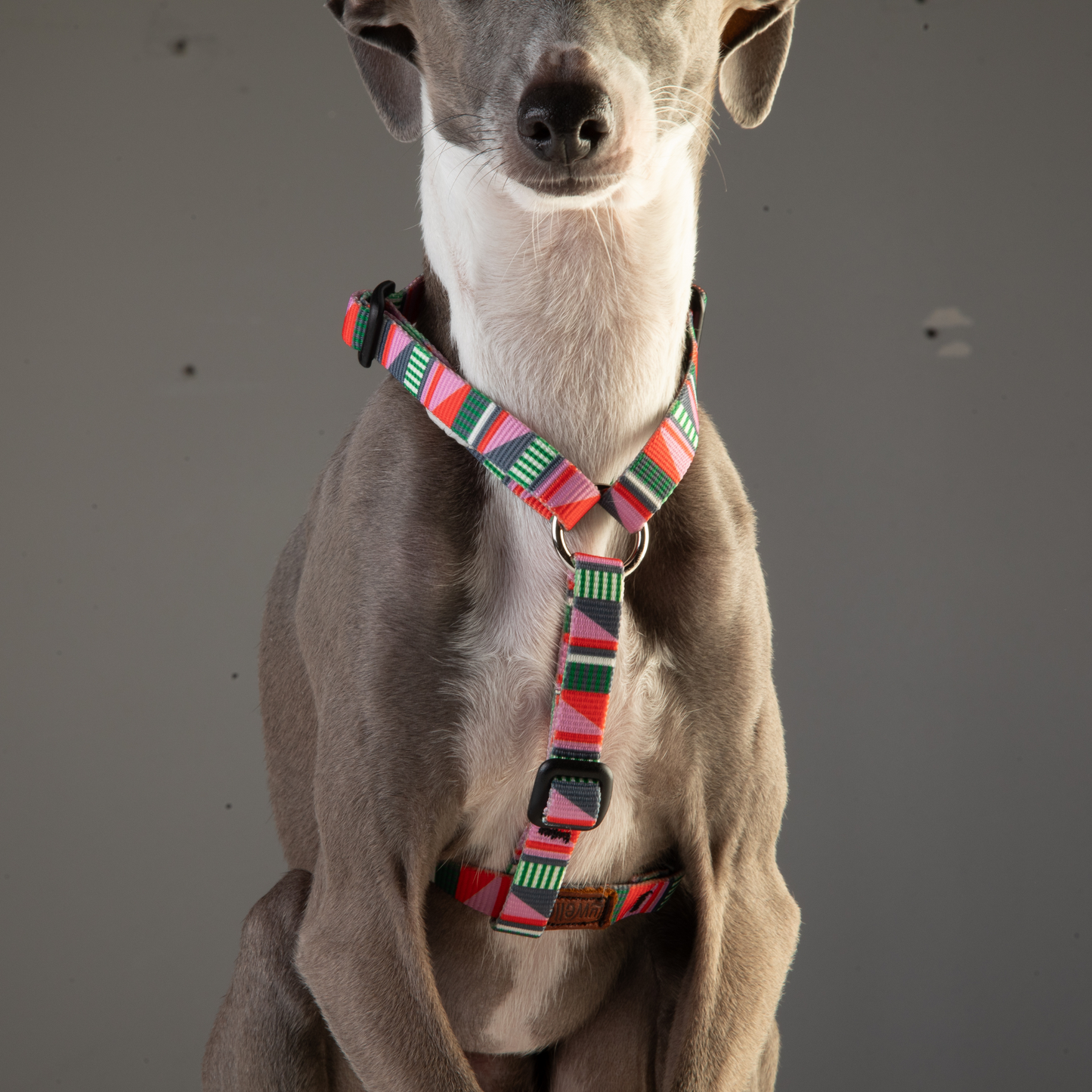 Thin Dog Harness