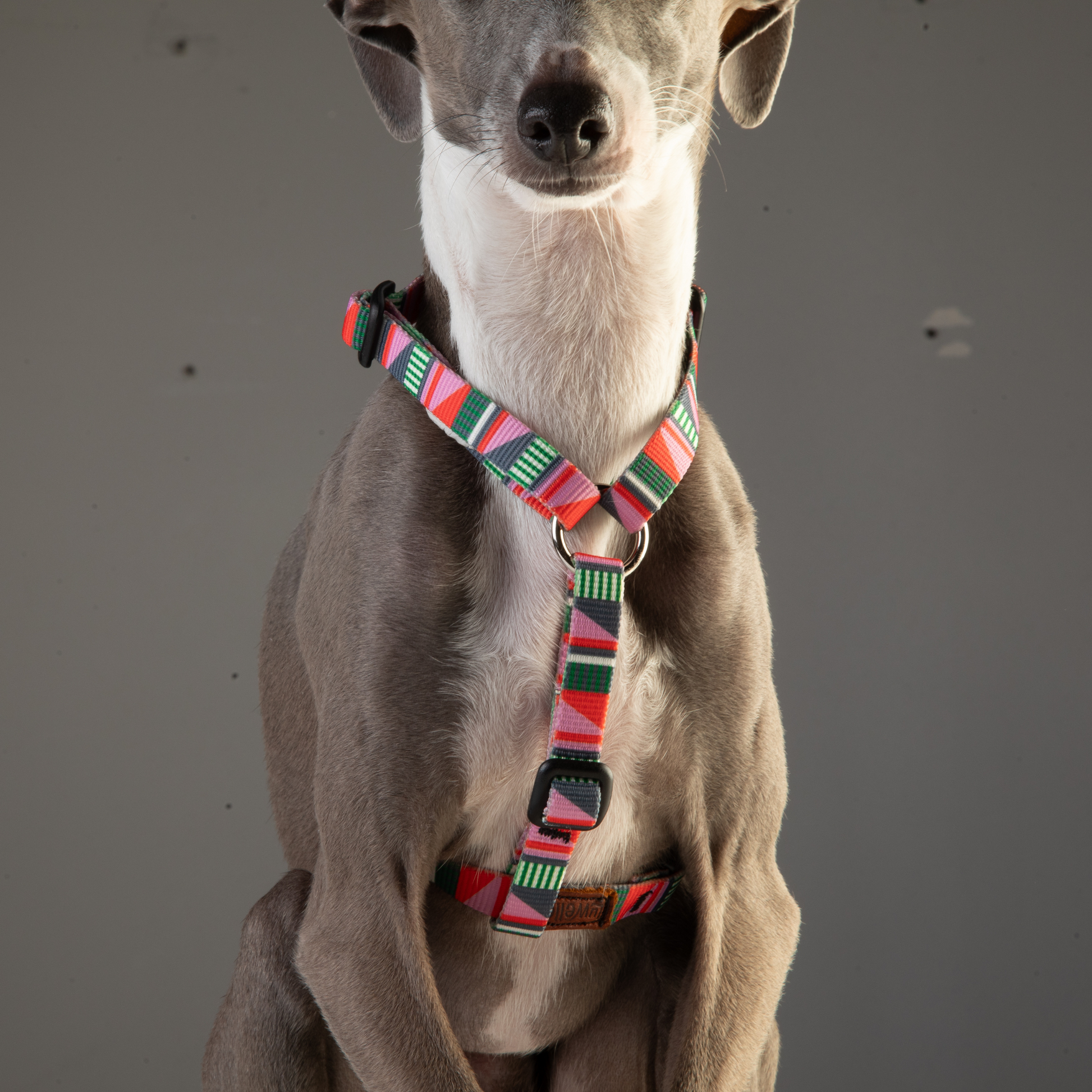 Thin Dog Harness