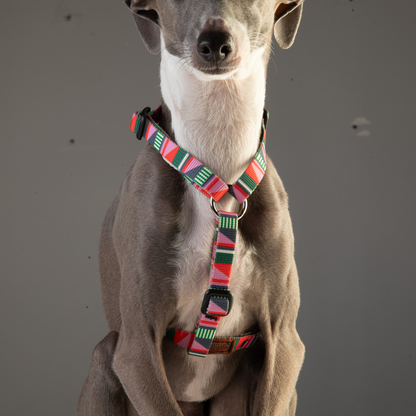 Thin Dog Harness