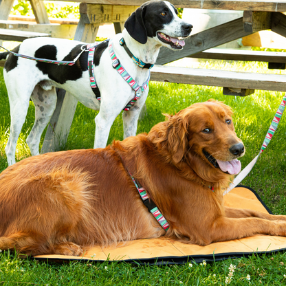 City Dog Mat with Carrying Strap