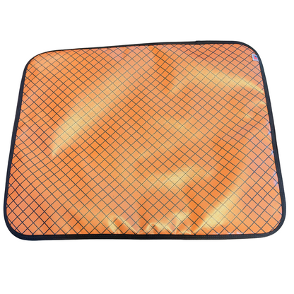 City Dog Mat with Carrying Strap