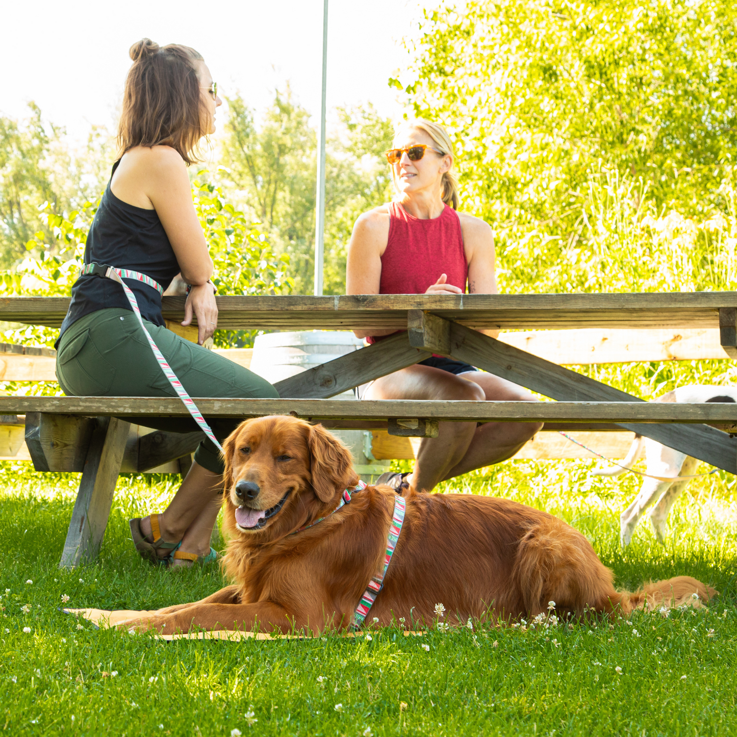 City Dog Mat with Carrying Strap