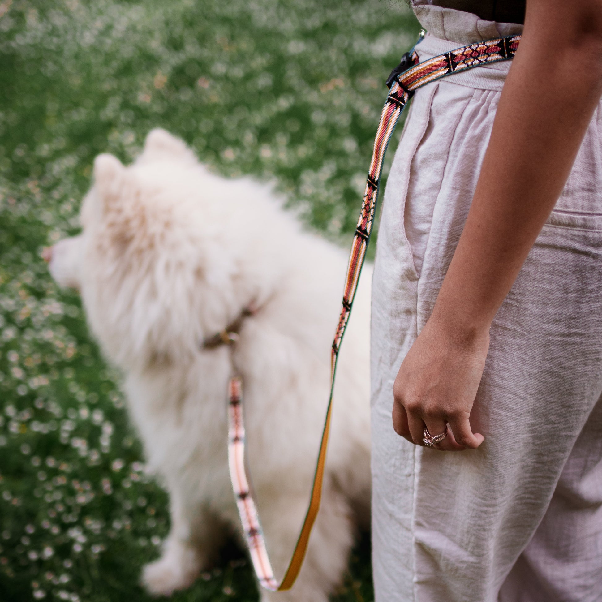 Girl wearing hands free leash attached to dog | Luwello