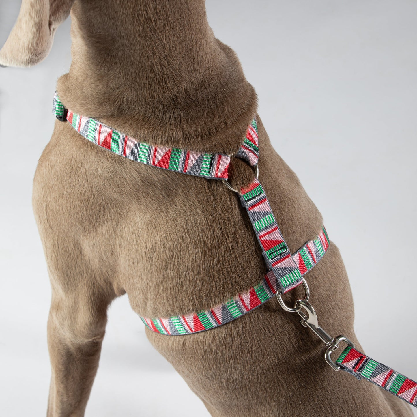 #dog_harness# - #luwello#