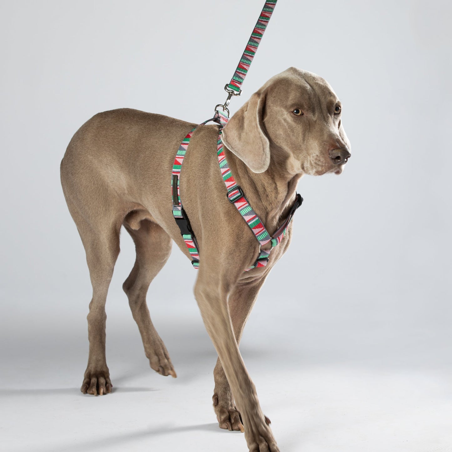 #dog_harness# - #luwello#