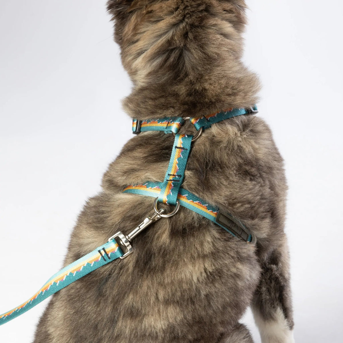 #mountains_collar# - #boonsgear#