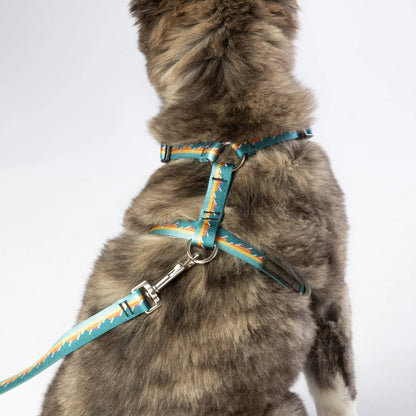 #mountains_collar# - #boonsgear#