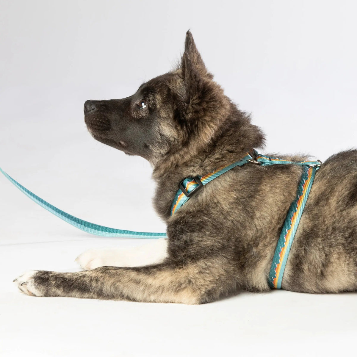 #mountains_collar# - #boonsgear#