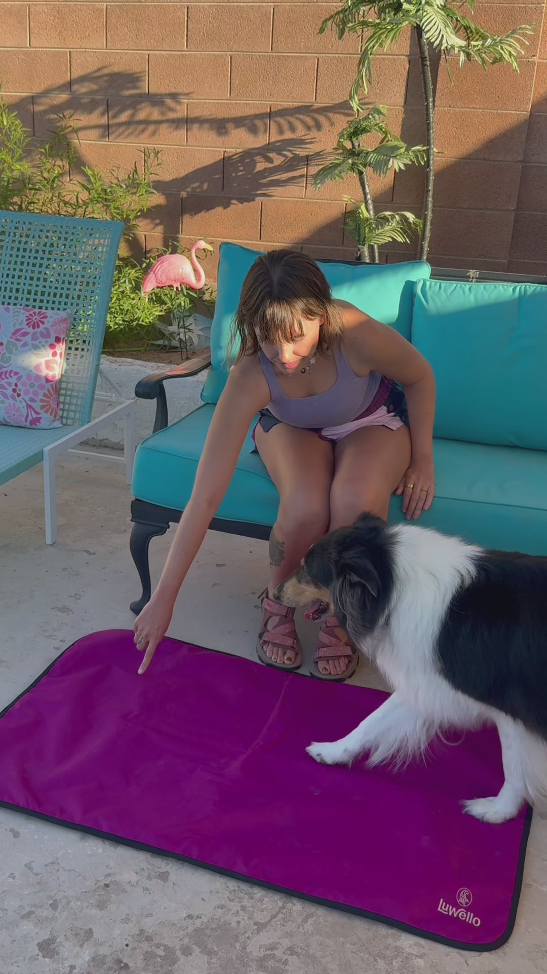 Dog training on place mat