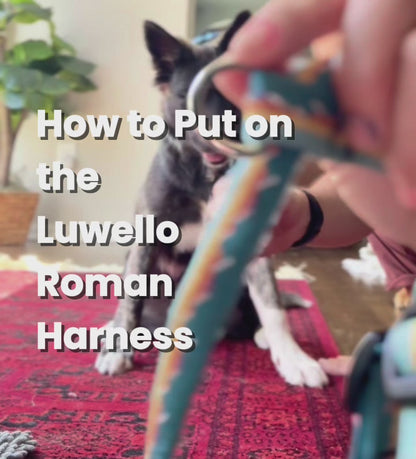 Escape Free Dog Harness 1''