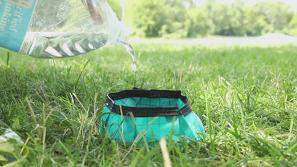 Fold-Up Travel Water Dish